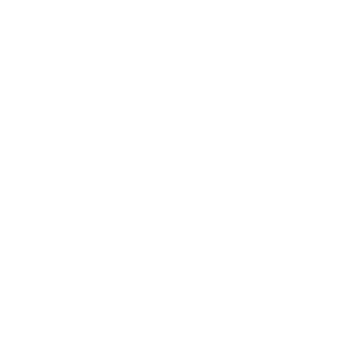 Lennik_logo-wit